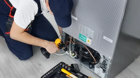Refrigerator Care Services in Johns Creek, GA